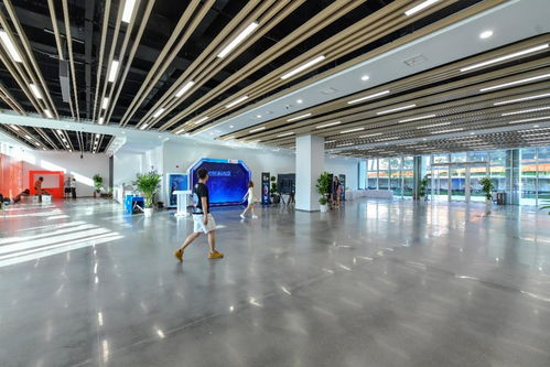 相約湖北 夢幻靈境AI展演中心即將開館，共探網絡技術開發新前沿